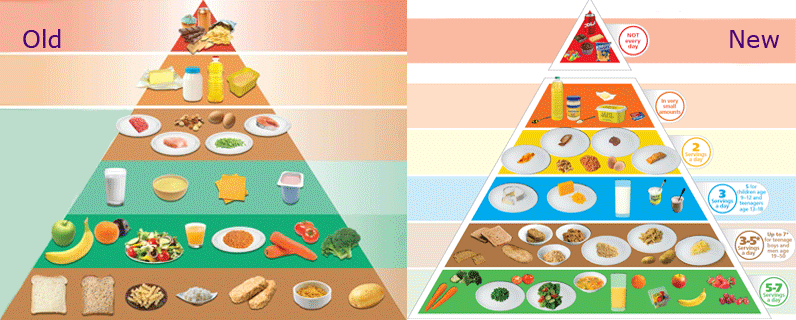 1000047683 Fundi i "Mbretërisë së Bukës"? Piramida e Re Ushqimore Përmbys Rregullat e Vjetra